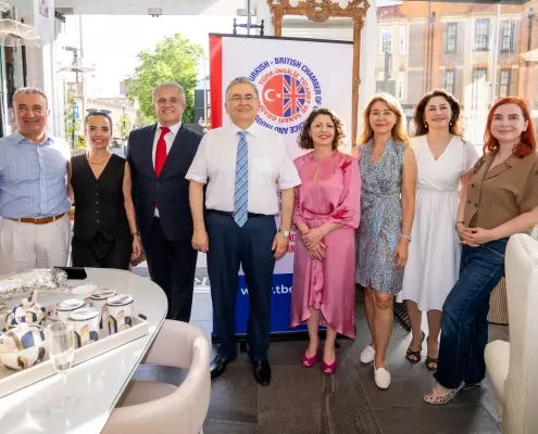 BRETZ TOPLU - link